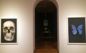 Sve o izložbi Damiena Hirsta u emisiji 'Četvrtkom o kulturi'