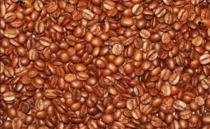 Težak zadatak: Vidite li vi među zrnima kafe bubamare i dječija lica?