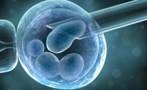 Zakon o potpomognutoj oplodnji mogao bi se ponovo naći pred Parlamentom FBiH