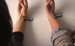 Znate li čemu služi mišić koji nema 16 posto ljudi? (VIDEO)