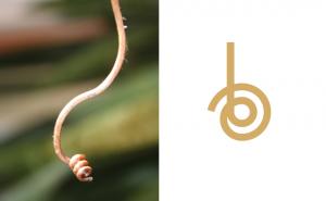 Bosančica kao umjetnički motiv na etiketi za vino (FOTO)