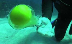 Šta se desi kada otvorite jaje 20 metara pod morem? (VIDEO)