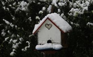 Dobro jutro: Snijeg pade, na behar... (FOTO)