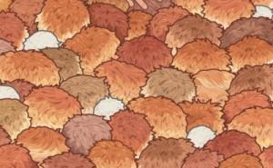 Prepoznatljiva frizura u zanimljivoj mozgalici: Možete li pronaći Donalda Trumpa (FOTO)