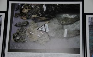 'Očekujemo u presudi da bude definirana i uloga susjednih država u izvršenju agresije na BiH'