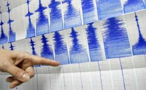 Slabiji zemljotres na području Pala