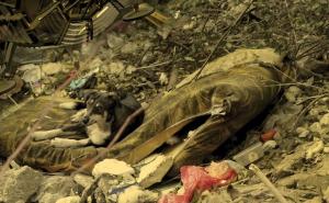 Otputujte kroz vrijeme i otkrijte staro Sarajevo: Sarajevo Time Travel Agency