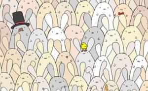 Rješenje mozgalice 'A gdje je jaje?'