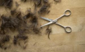 Slučaj kolektivnog šišanja cijelog razreda podijelio banjalučku javnost