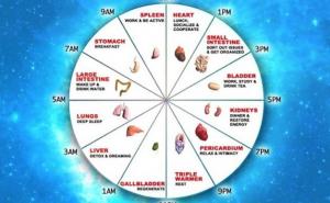 Kineski sat ne griješi: Brzo saznajte koji organ vam ne radi dobro