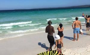 'A ti se, Muzafere, kupaj': U Australiji ako ne susretneš ajkulu, čeka te meduza (FOTO)