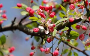 Vrijeme danas: Uživanje na suncu (FOTO)