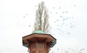 Masovno puštanje balona: kako u najboljoj namjeri štetimo okolišu