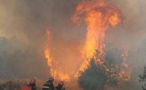 Nepoznata lica uzrokovala dva požara u okolini Sarajeva