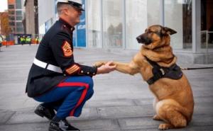 Luca: Heroj koji je spašavao ljude u ratu