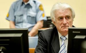 Radovan Karadžić zatražio da ga puste na slobodu: Osjeća se kao 'tigar u kavezu'
