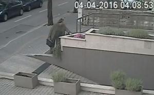 Gospođa u krađi cvijeća: Da je pelcer, halalili bi (VIDEO)