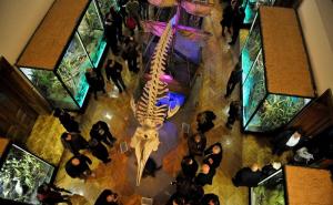 Čestitamo: Djelatnicima i aktivistima Zemaljskog muzeja EU nagrada za kulturno naslijeđe