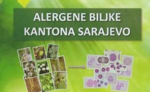 Patite li od polenske alergije? Pogledajte kalendar i savjete koji će vam pomoći (FOTO)