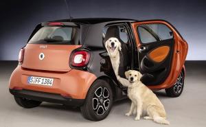 Smart za najvjernijeg prijatelja: Posebna verzija modela Forfour 