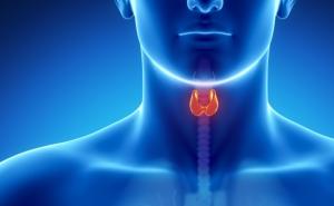 Kućni test: Provjerite kako vam radi štitnjača