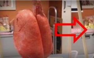 Kakva je razlika između pluća pušača i nepušača? (VIDEO)