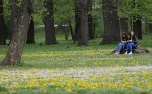 Dragulj prirode: Velika aleja na Ilidži (FOTO)