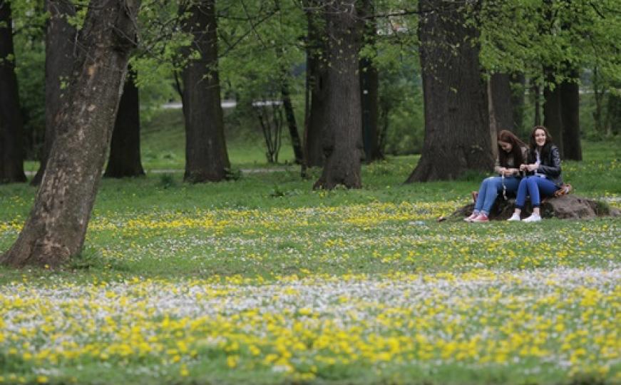 Dragulj prirode: Velika aleja na Ilidži (FOTO)