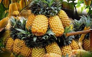 Majstor je majstor: Kako isjeckati ananas? (VIDEO)