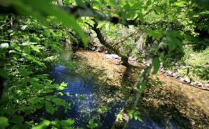 Protestni izlet na Sani za Dan planete Zemlje