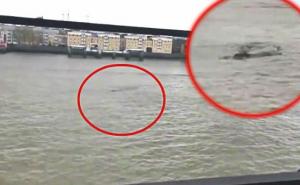 Novi snimak tajanstvenog bića iz Temze