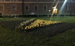 FOTO: U Sarajevu procvjetala državna zastava od lala i muscarija