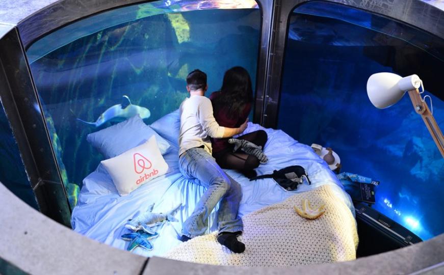Pariz: Zaljubljeni parovi u spavaćoj sobi oko koje plivaju ajkule (FOTO)