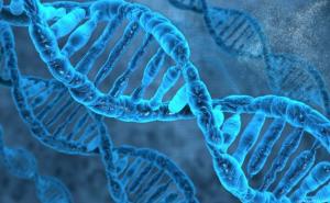 Naučnici otkrili 13 superheroja: Zapanjujuće istraživanje o ljudskoj DNK