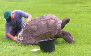 Trebalo je proći dva stoljeća da bi se okupala (VIDEO)