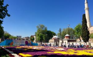 Razglednica iz Istanbula: Uživanje u suncu i proljetnim čarima (FOTO)