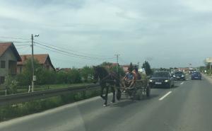 Detalj s ceste Živinice - Tuzla: Njima se ne žuri