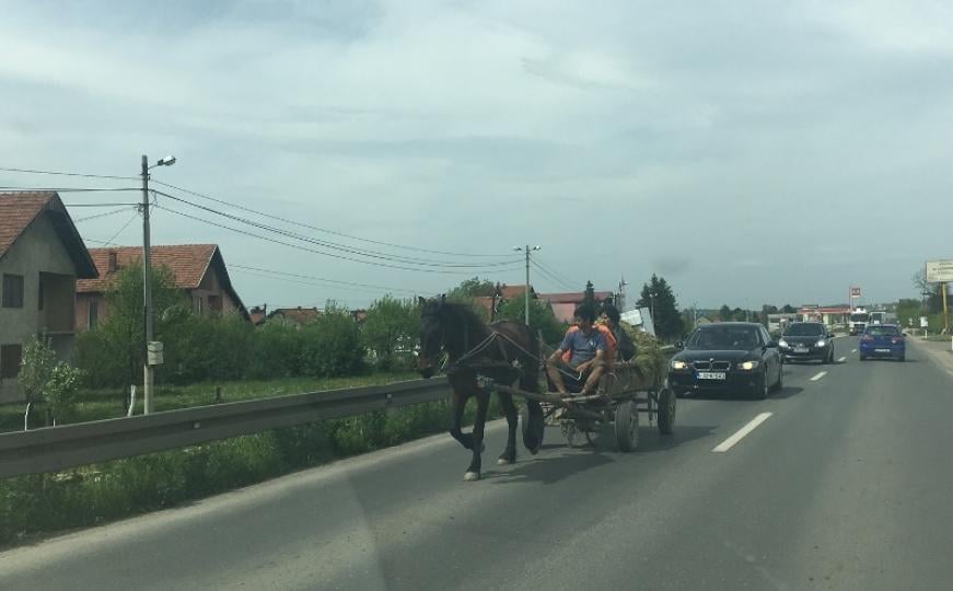 Detalj s ceste Živinice - Tuzla: Njima se ne žuri