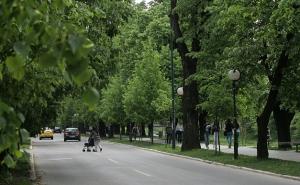 FOTO: Ljepota kad ozeleni Vilsonovo šetalište