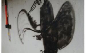 Kraljica svih iluzija: Kakva je to silueta na slici?