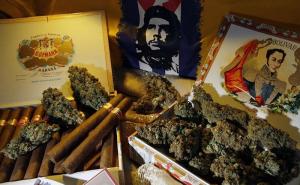 Kako izgledaju zabave 'Kralja marihuane' (FOTO+VIDEO)