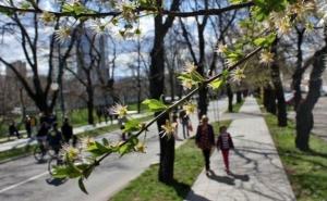 Vremenska prognoza: Ujutro minusi, poslijepodne sunčano 