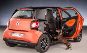 Smart za najvjernijeg prijatelja: Posebna verzija modela Forfour 