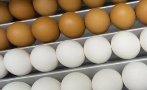 Kako otkriti koliko je staro jaje iz trgovine 