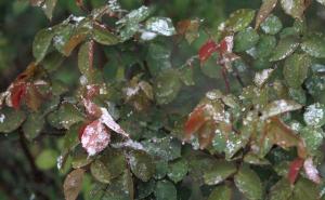 Na Bjelašnici -10: Pročitajte šta meteorolozi najavljuju za danas