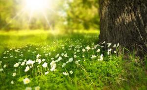 Meteorolozi: Evo kad stiže razvedravanje