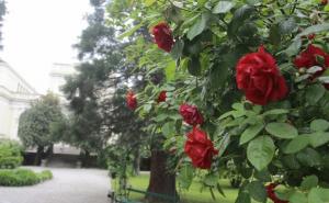 Šta to skriva prelijepi Botanički vrt u Sarajevu?