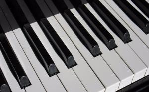 Odabrana poglavlja iz metodike nastave klavira