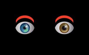 Mural Davida Bowiea u Sarajevu: Pogledajte video i lajkajte facebook stranicu