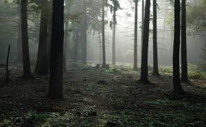 Užasnije od horor filma: Najstrašniji snimci stvarnih misterija i zločina